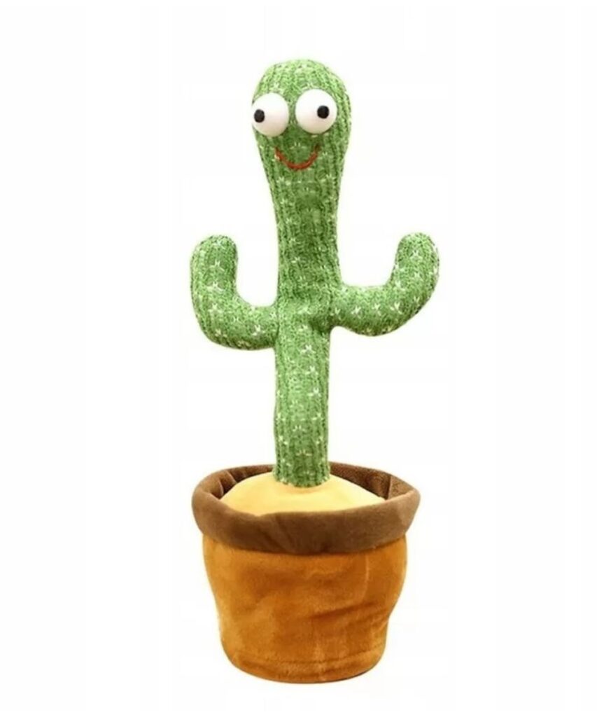 Cactus bailarín y repetidor, 1 ud.